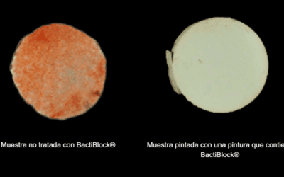 ¡BactiBlock® cumple el test ASTM E1428 contra la bacteria de la mancha rosa!